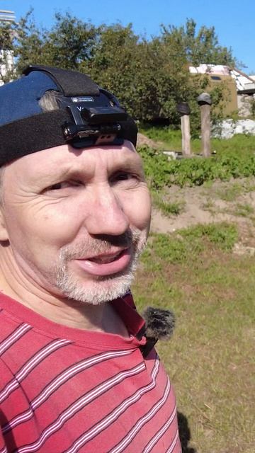 Видишь картошку? И я, не вижу! 9 августа, а я простыл.