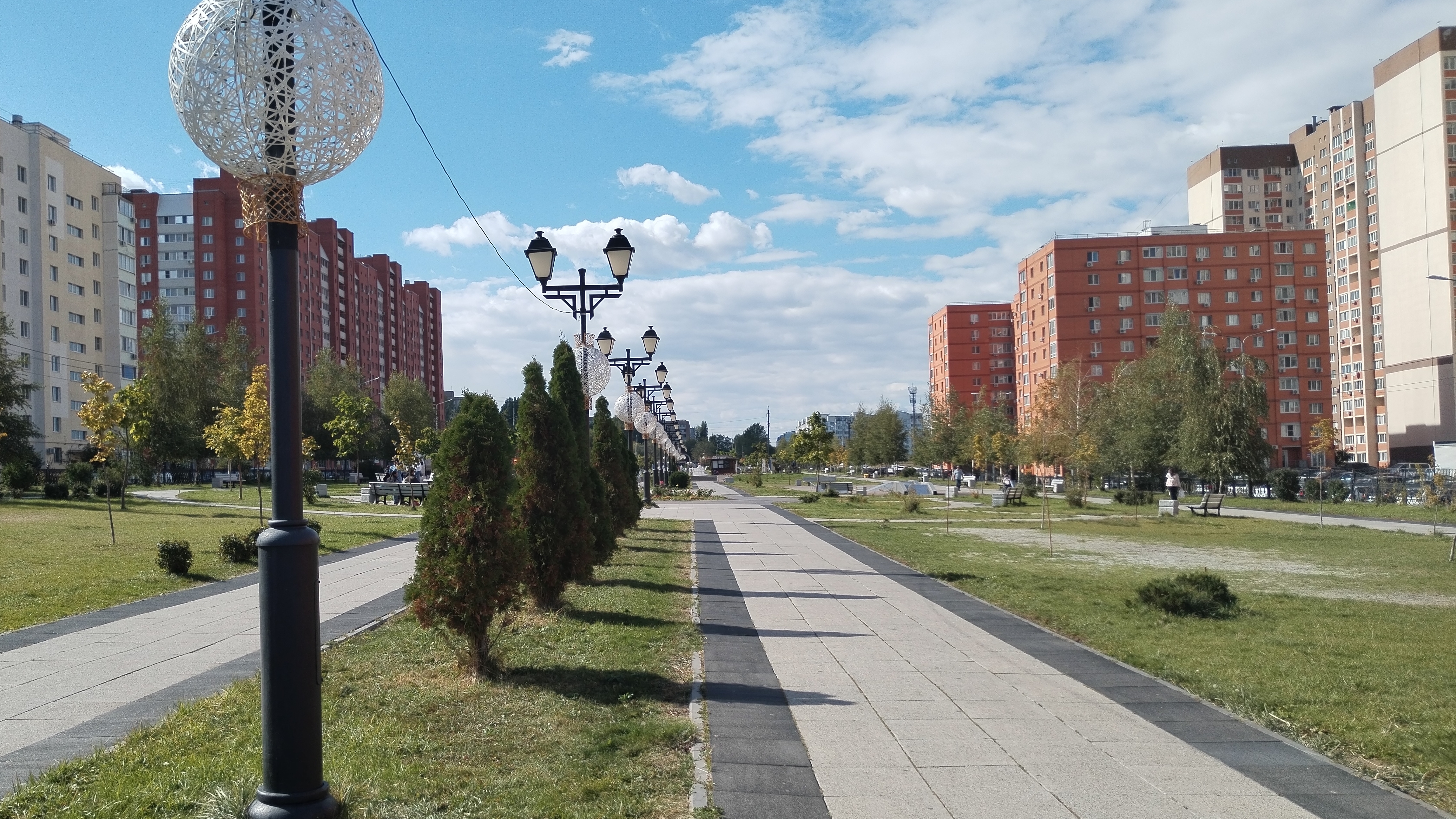 Как лягушки- путешественники. 15.09.25