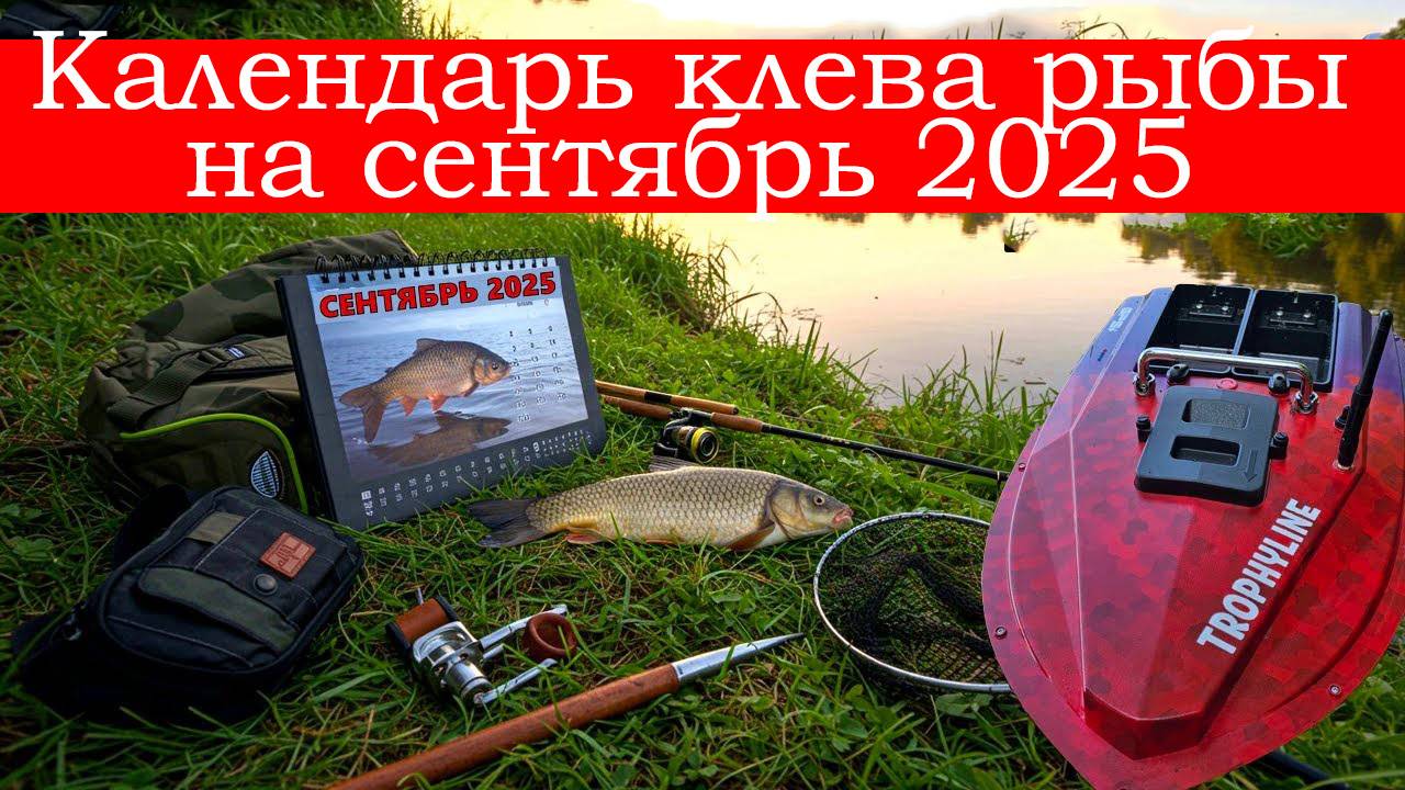 Календарь клева рыбы на СЕНТЯБРЬ 2025