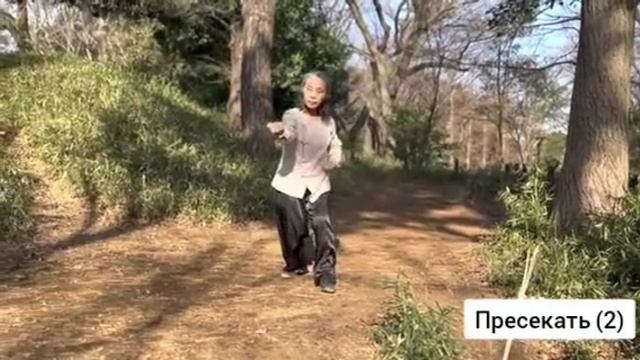 066 лабиринты кунфу