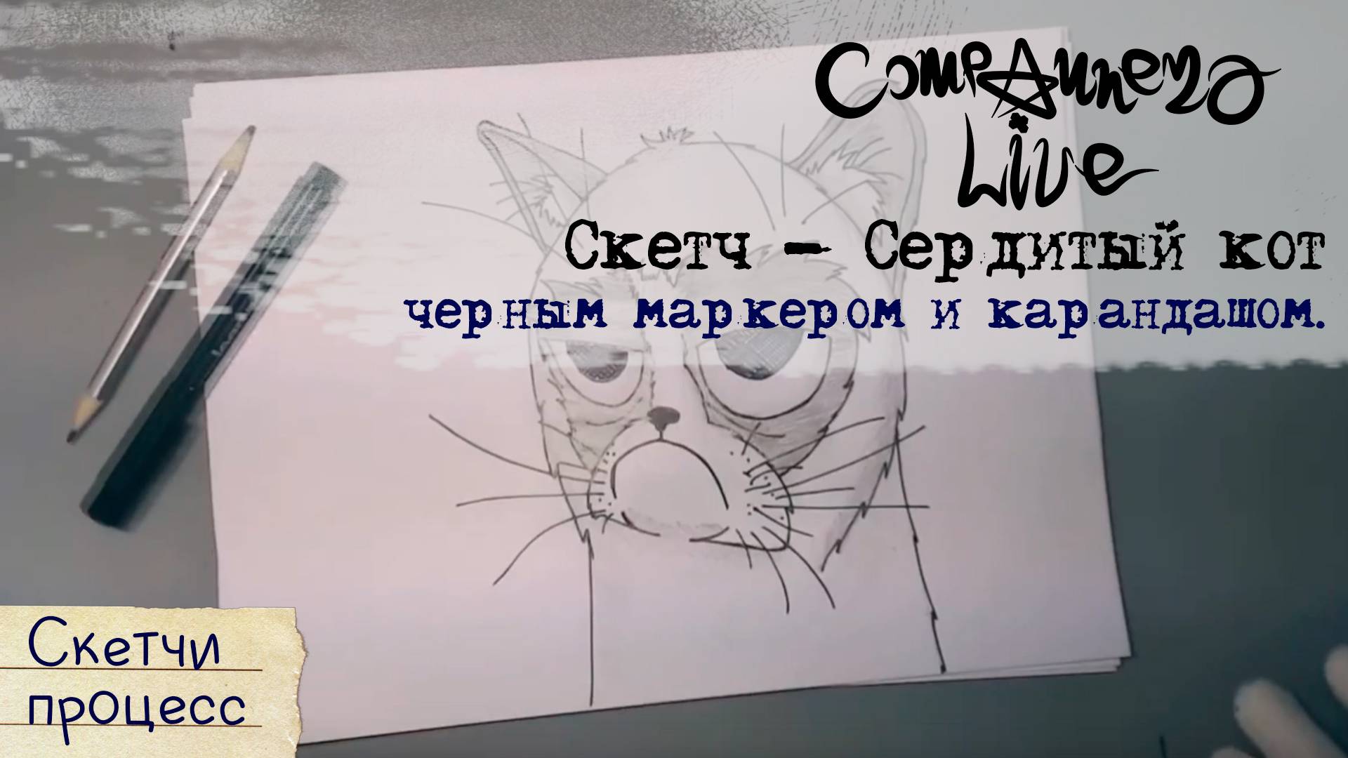Скетч - Сердитый кот черным маркером и карандашом