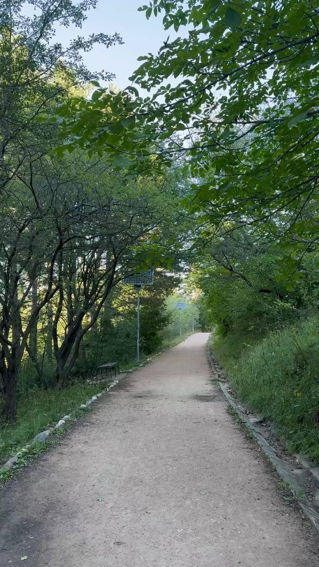 Кисловодский парк делится с вами своей гармонией