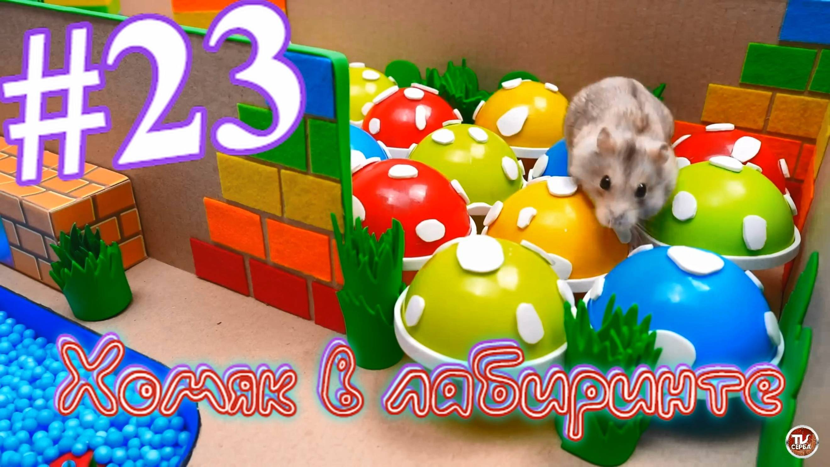 Хомяк в лабиринте (23 серия)