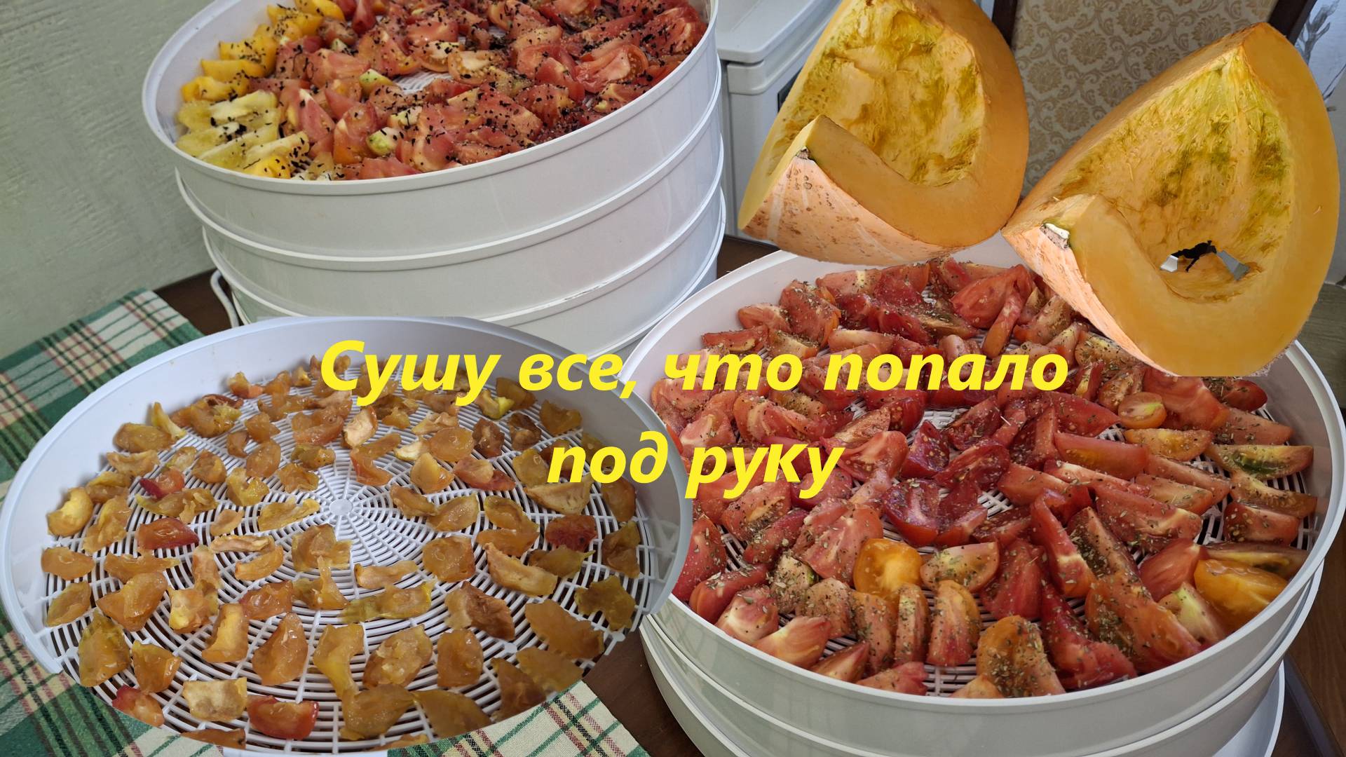 Первый опыт сушки яблок, тыквы и томатов. Сушилка для овощей Ветерок-2. #104