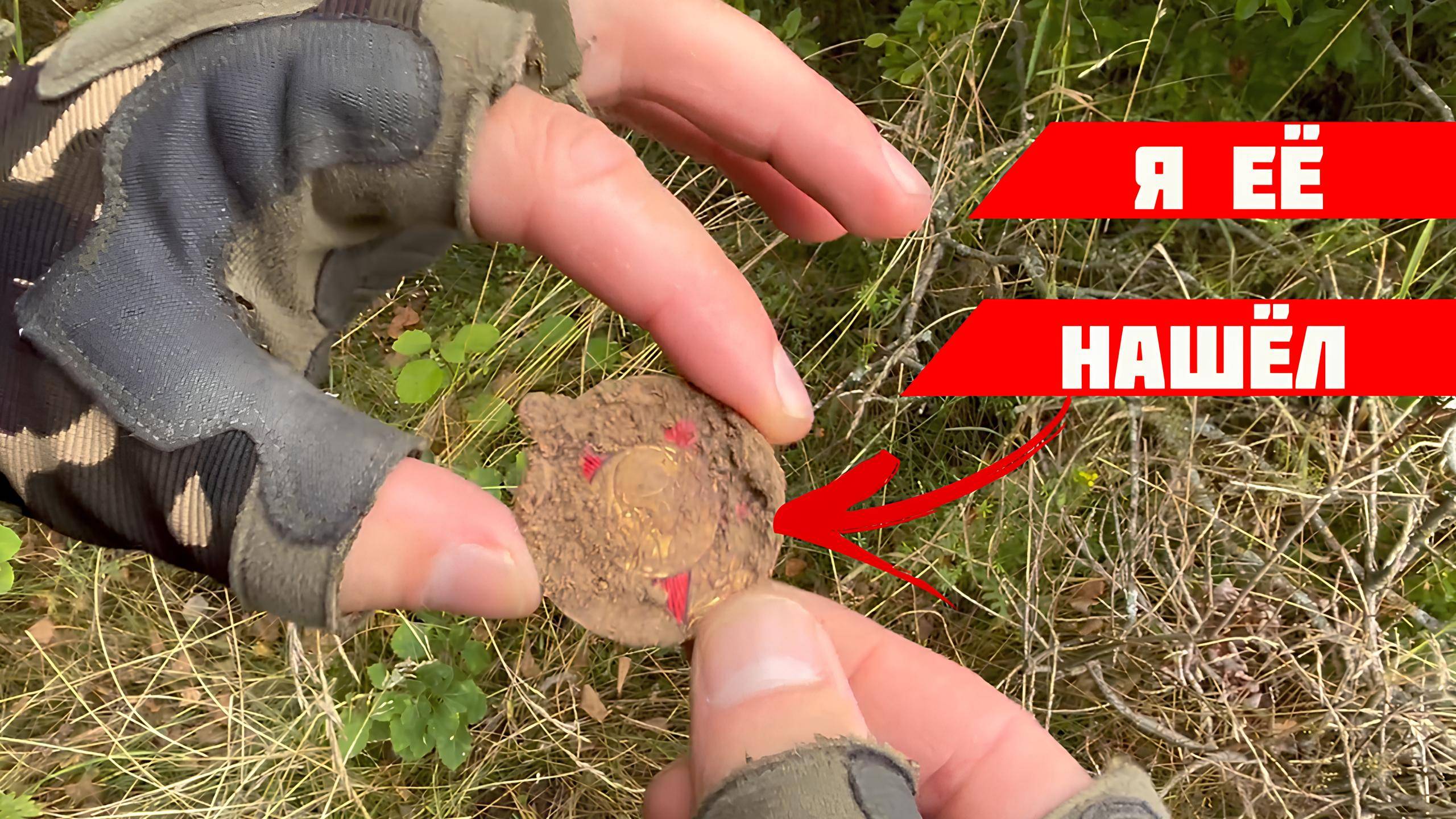 Как я раскопал редкие монеты сзади дома