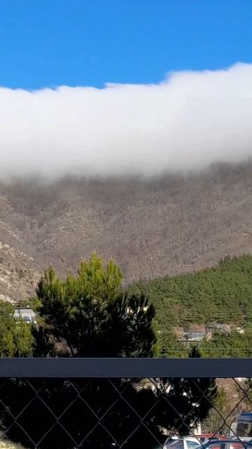 борода в Геленддике