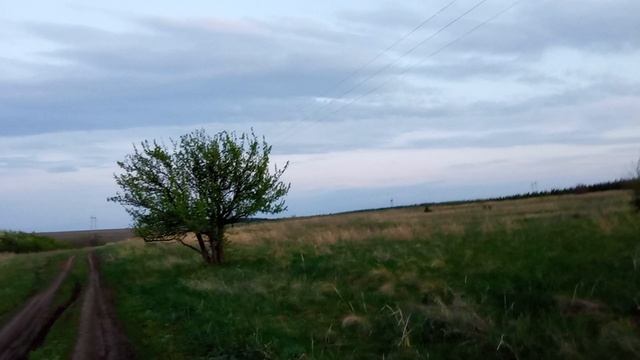 Исчезнувший хутор Тааль, Марксовский район.