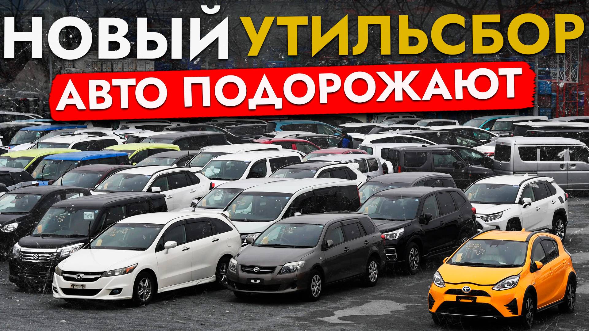 СРОЧНО: ПОВЫШЕНИЕ УТИЛЬСБОРА ДЛЯ ВСЕХ❗ ПЛЮС 3 000 000 К ЦЕНЕ АВТО❓ НОВЫЕ СТАВКИ С 1 НОЯБРЯ 2025