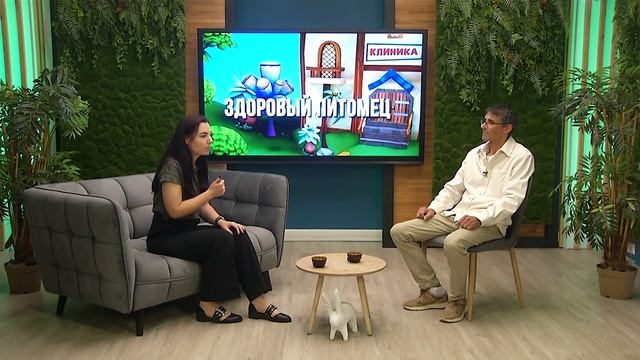 Здоровый питомец, 15.09.2025