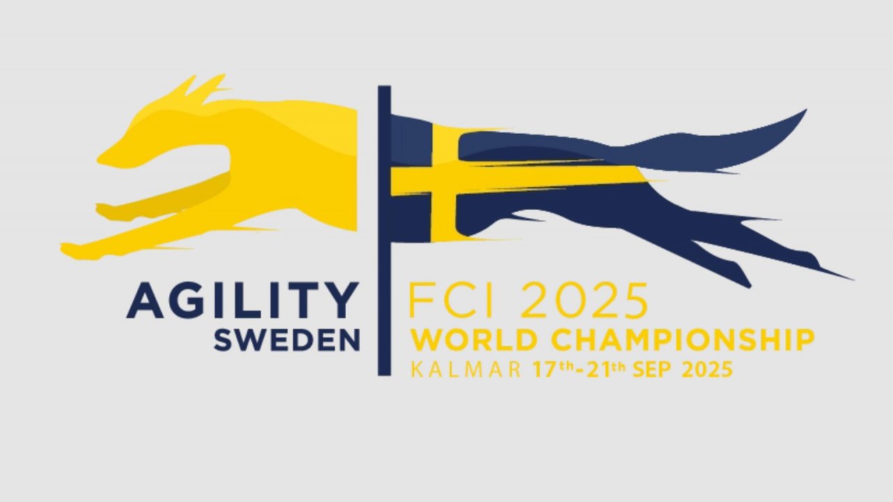 AWC 2025 | Открытие 16.09 в 17:00 (по московскому времени)