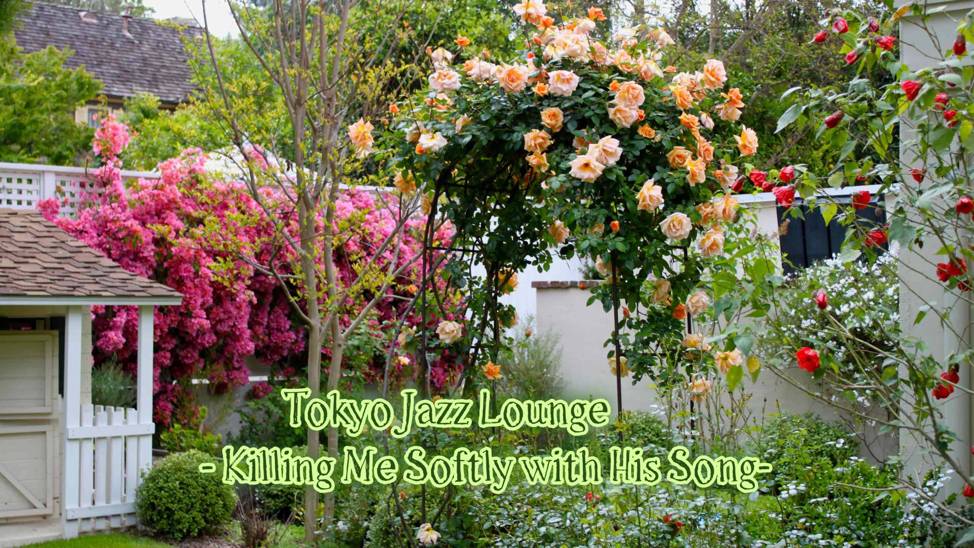 Tokyo Jazz Lounge  Killing Me Softly with His Song*