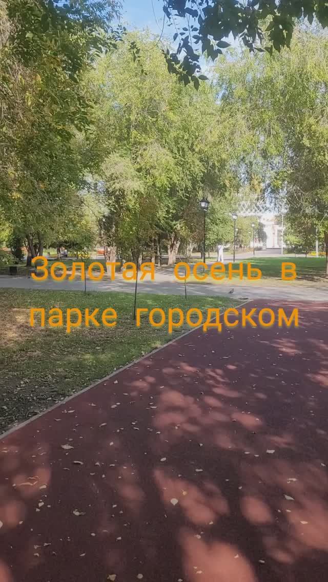 Золотая осень в парке городском#shorts