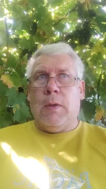 На канале 200 подписчиков! Всем огромное спасибо!