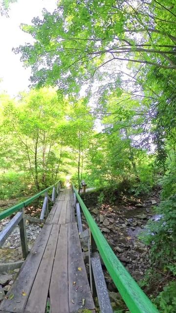 Свирское ущелье. Лазаревское. Сочи. Август 2025. Ч4