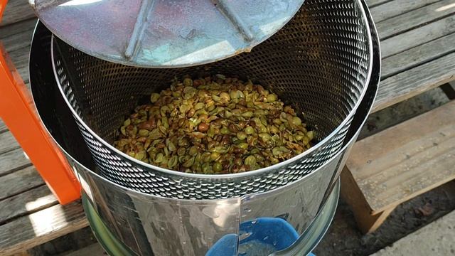 Снятие с мезги, фильтрация сусла для белого вина. Делаю чачу на мезге и сахаре