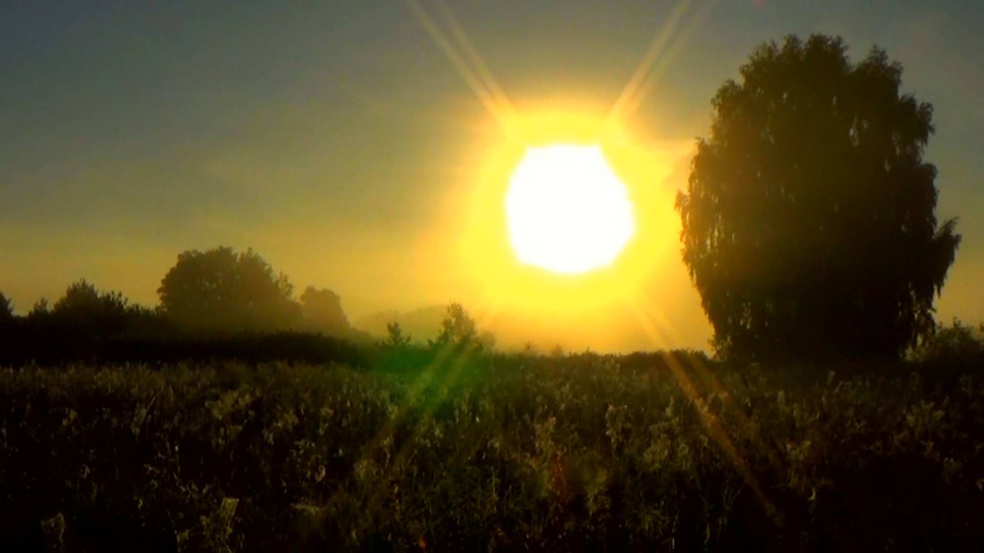 Осеннее холодное утро в Вязниковском заречье