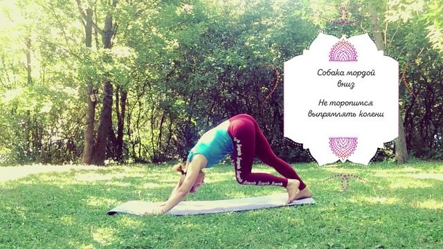 Тренировка Гармония