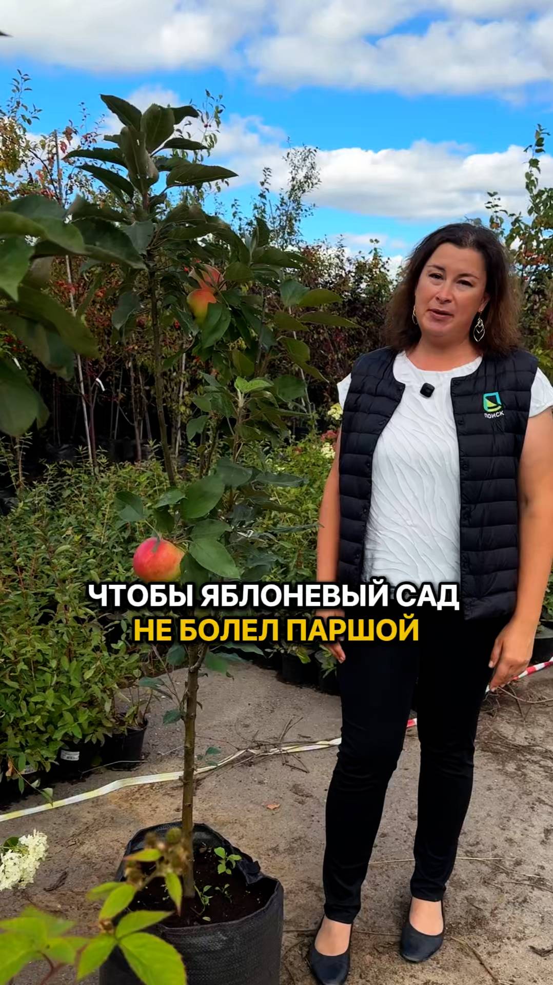 Сделайте это и яблоневый сад никогда НЕ ЗАБОЛЕЕТ ПАРШОЙ!