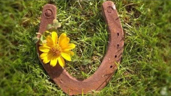 СЧАСТЛИВАЯ ПОДКОВА...ДЛЯ ВСЕХ...