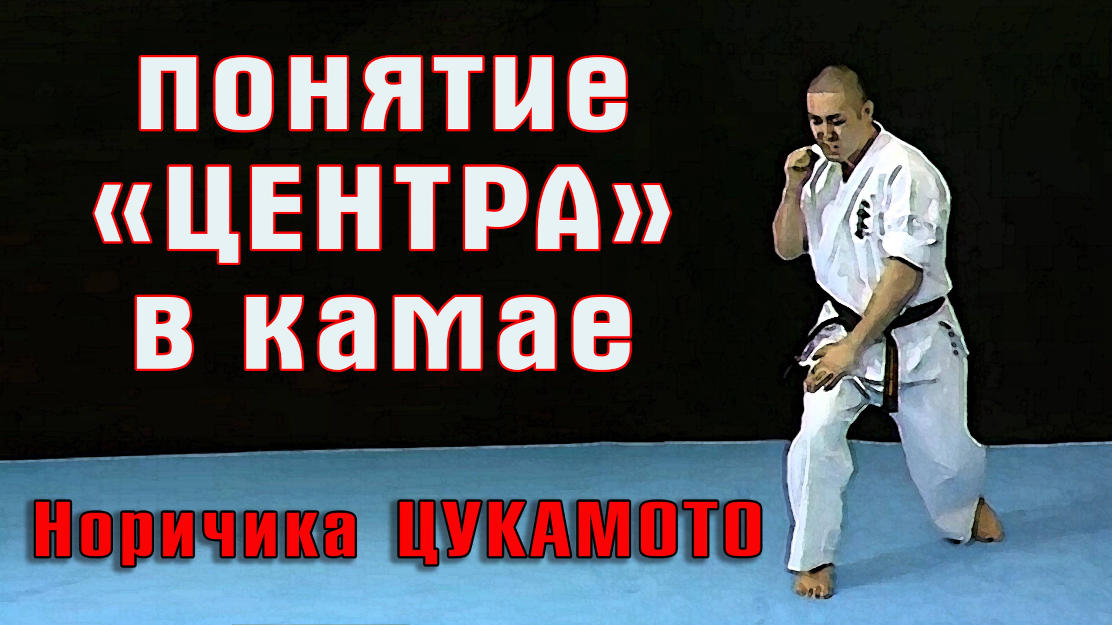 Практика Шинкиокушин.Понятие центра в Камае(Норичика Цукамото)рус.дубляж