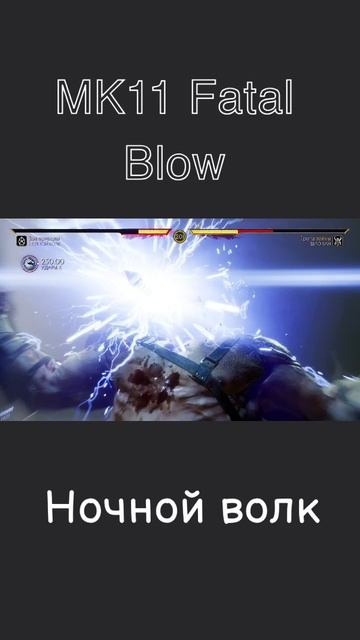 MK11.Fatal Blow.Ночной Волк