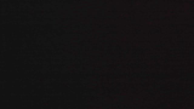 Обзор и сбор куриного урожая