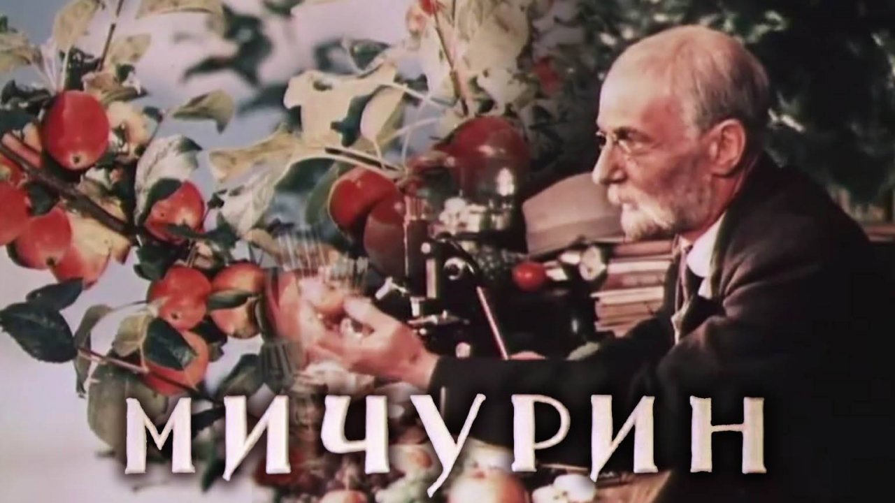 «Мичурин», 1948