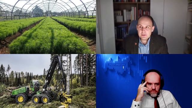 1593. Пыжёв А.И.: Русский лес, лесное хозяйство и будущее России