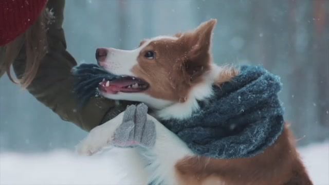 God Rest  - Circa Blue - Екатерина Шелехова