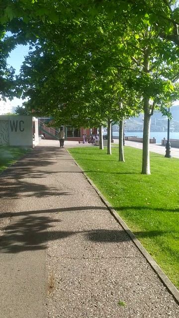 Прогулка по аллее