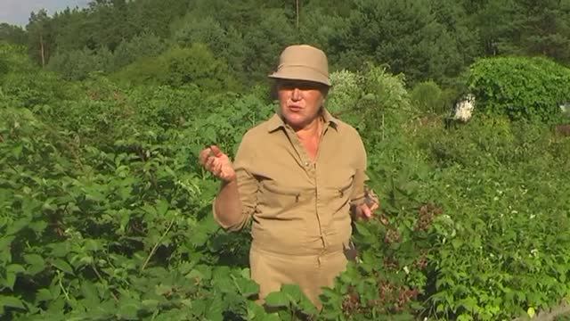 Как работают принципы пермакультуры Часть 2