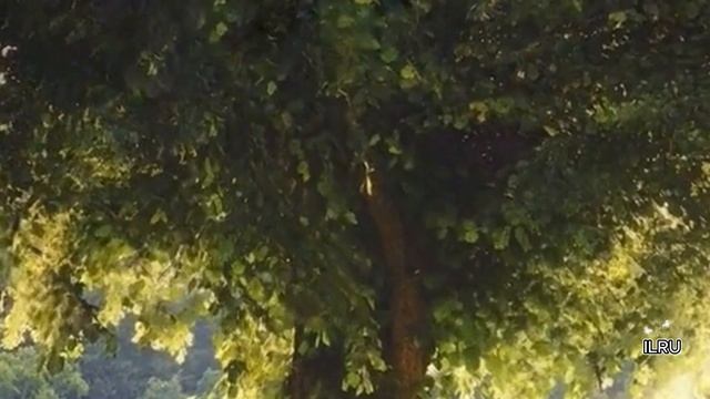 Истории из жизни|Начало одной истории|Аудио рассказы|Аудиокниги слушать