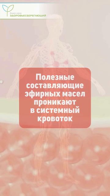 Как активизировать мозг через пупок