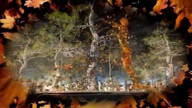 Невероятно красивая  осенняя мелодия! Сергей Чекалин - осень!