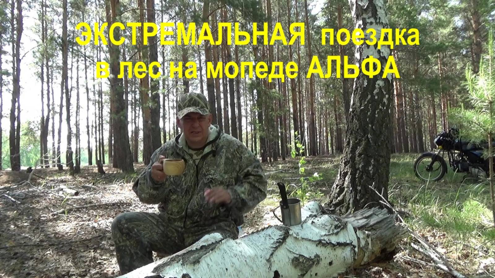 ЭКСТРЕМАЛЬНАЯ поездка в лес на мопеде АЛЬФА.