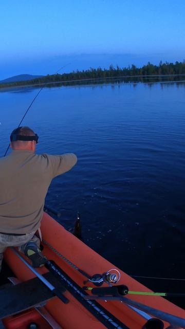 подсунул свой воблер