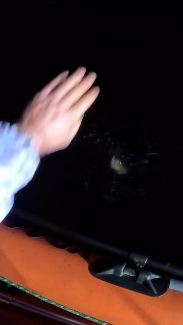 Ночью на реке