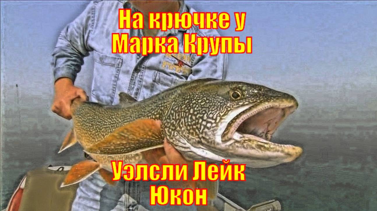 На крючке у Марка Крупы - Уэлсли Лейк Юкон