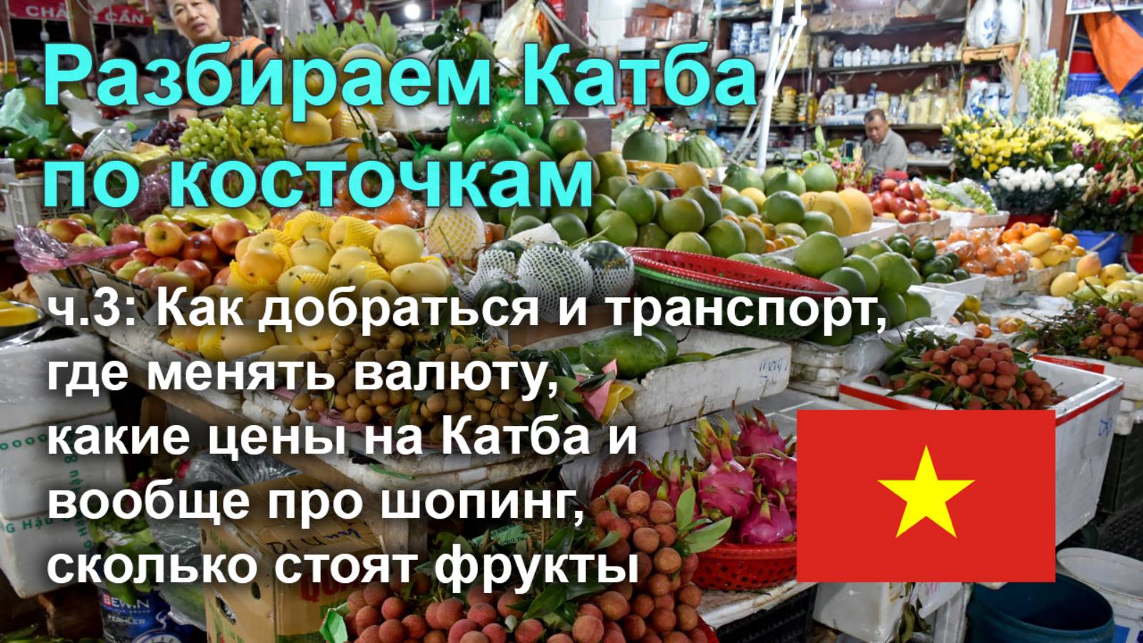 🇻🇳 Разбираем остров Катба по косточкам, часть 3: инфраструктура, цены, деньги, транспорт