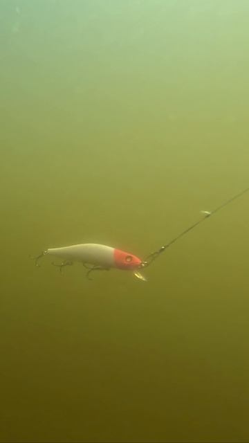 ТОЧНЫЙ ЗАБРОС