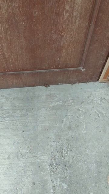 Своими руками. Замена двери в котельной.