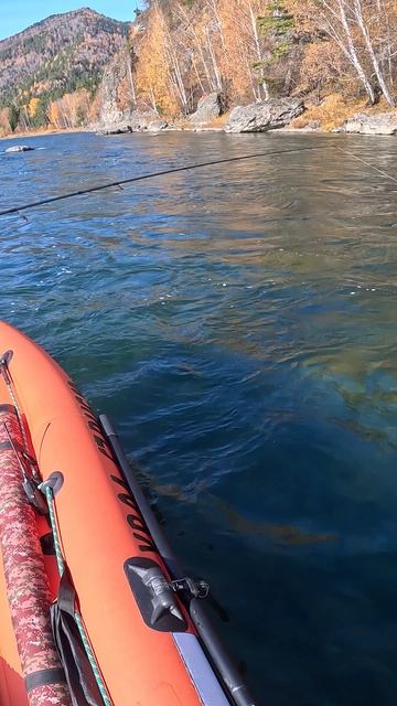 водяной теперь на связи