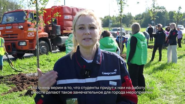 Благодаря «Северстали» 120 остролистных клёнов высадили в Череповце на Южном шоссе