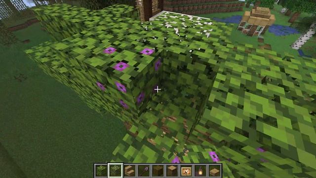 преображение спавна часть 1