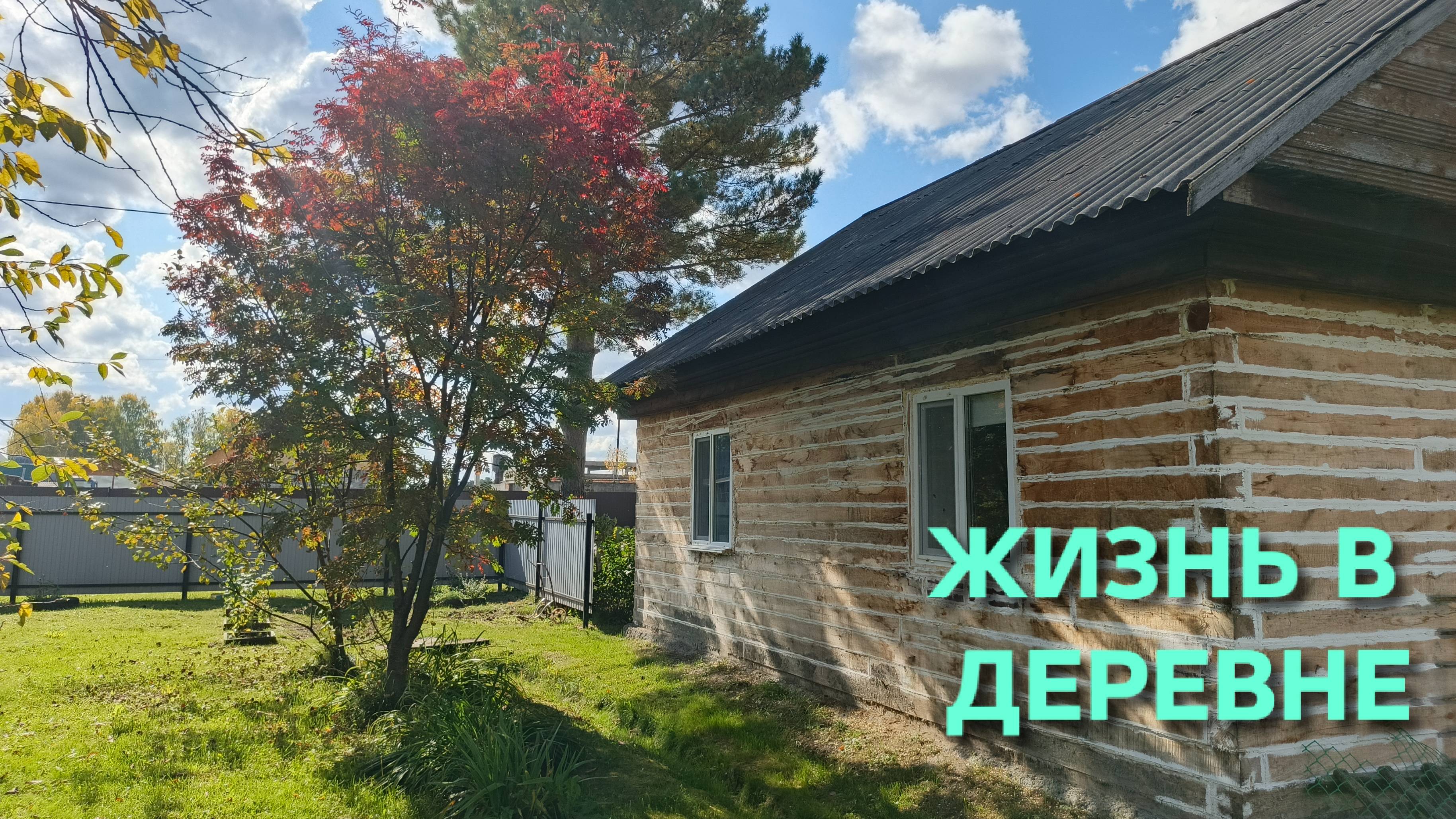 Один момент из жизни в деревне