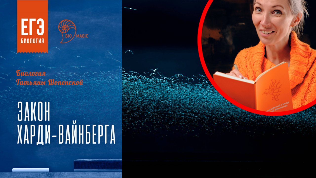 Закон Харди-Вайнберга для ЕГЭ по биологии | Bio-Magic