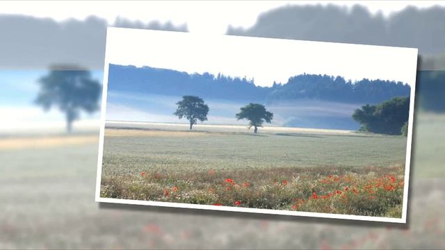 CJ Mind - Асфальтоукладчик (дорожная)