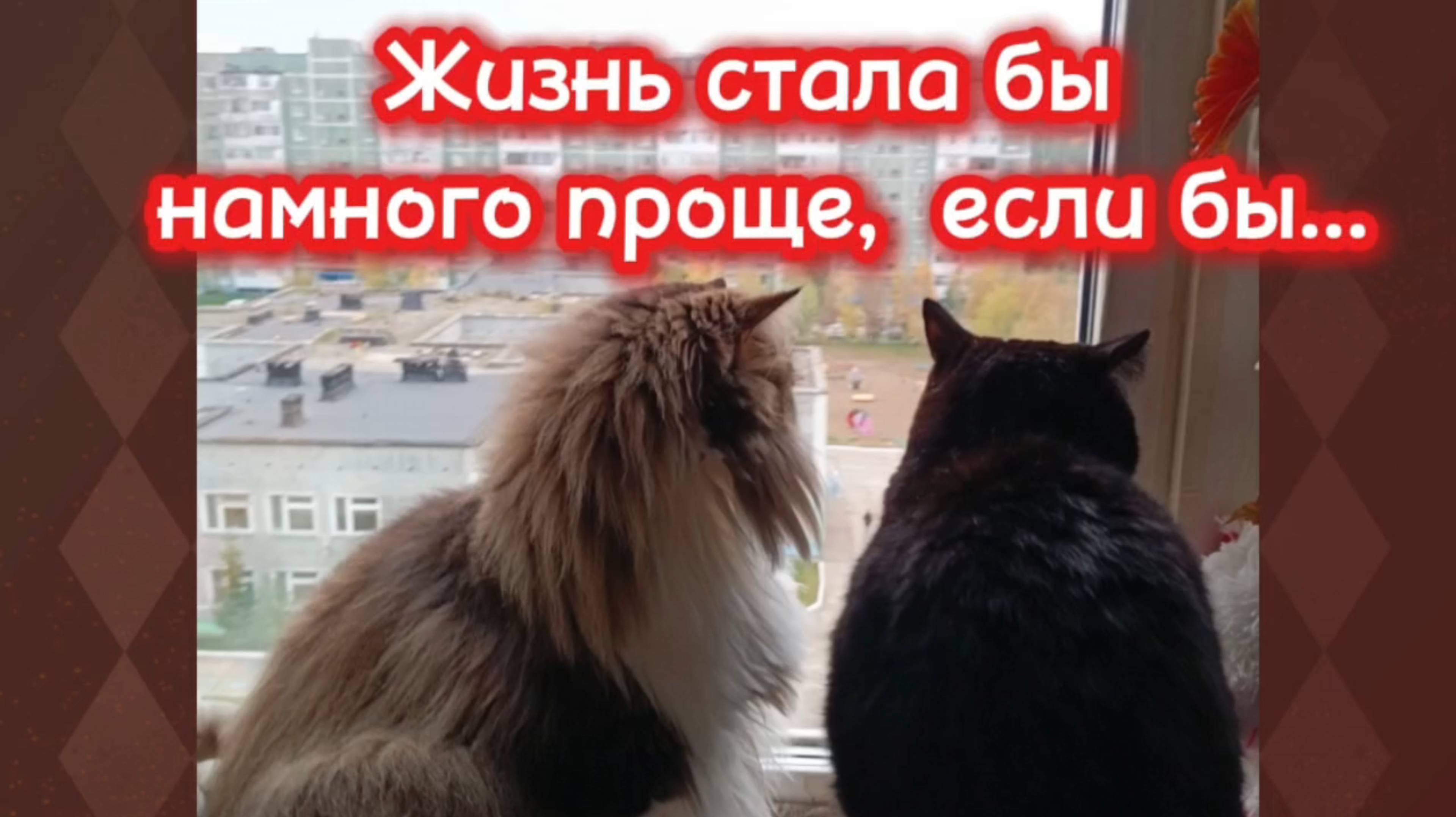 Кошки с озвучкой.