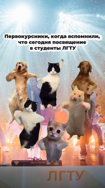 Первокурсники, когда вспомнили, что сегодня посвящение в студенты ЛГТУ