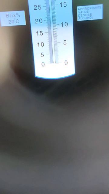 "Королевская" чача